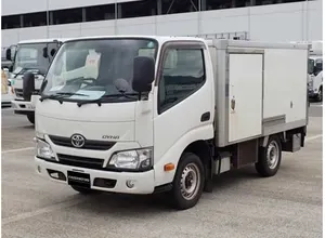 2019 Toyota Dyna