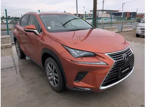 2019 Lexus Nx300 VERSION L