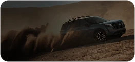 Hyundai Zero Series